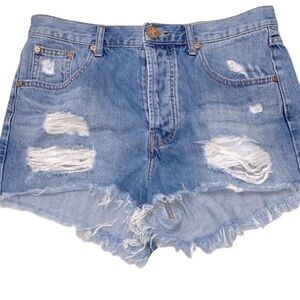 One X Teaspoon denim festival shorts size 27